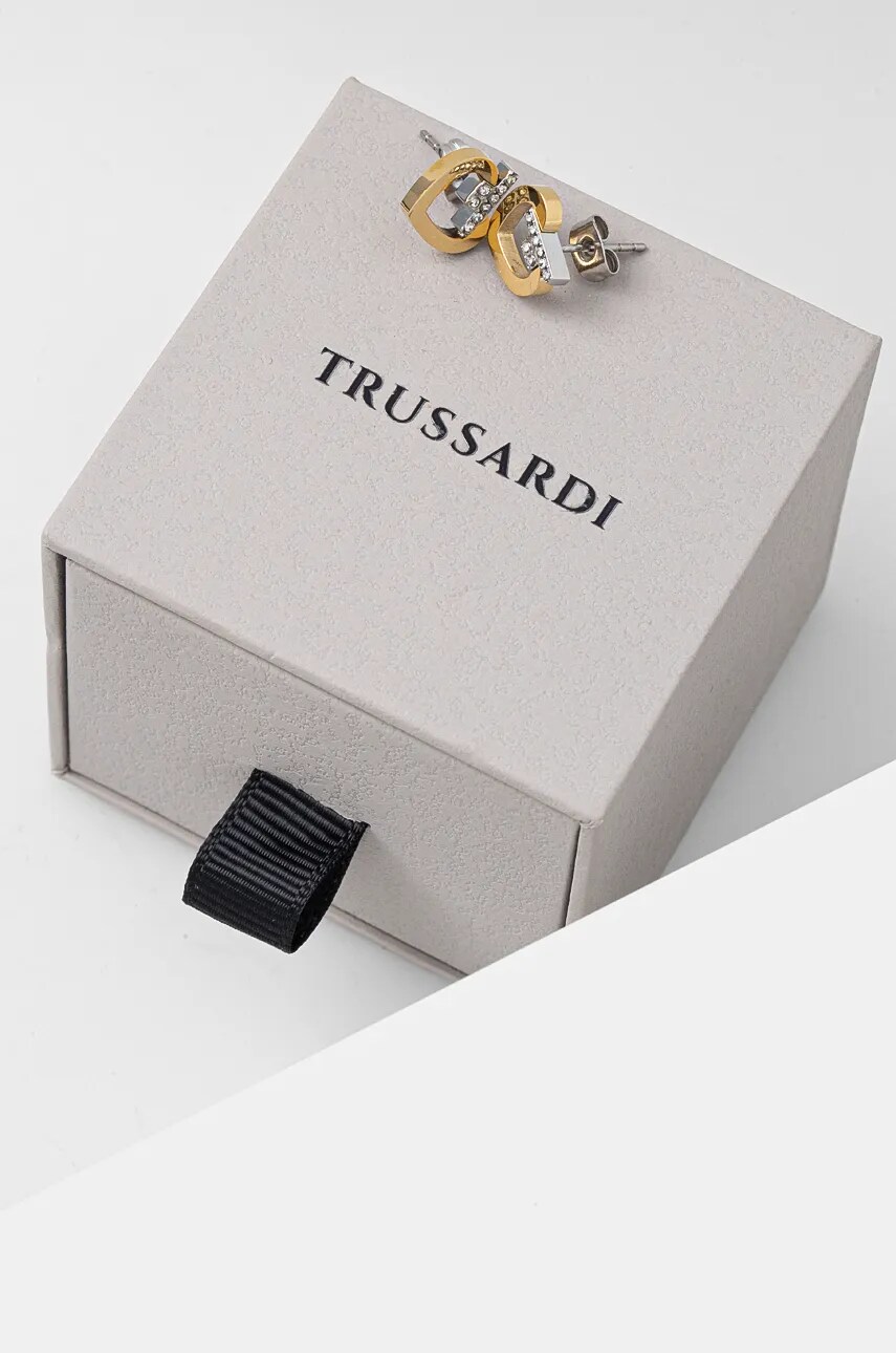Сережки Trussardi TJAXC49