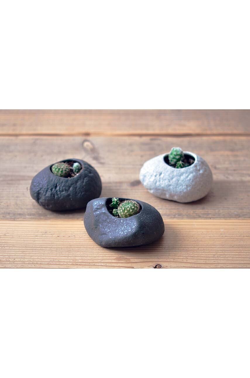 Набір для вирощування рослин Noted Plants Rock - Cactus