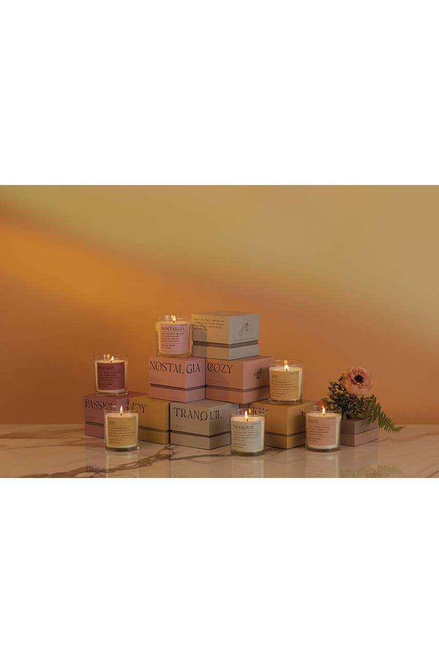 Ароматична соєва свічка Paddywax Mood Passion 226 g