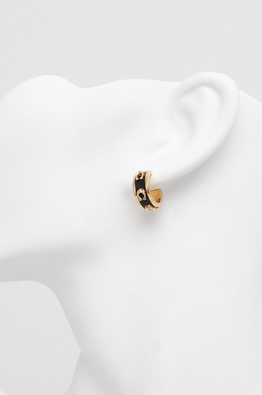 Сережки Coach