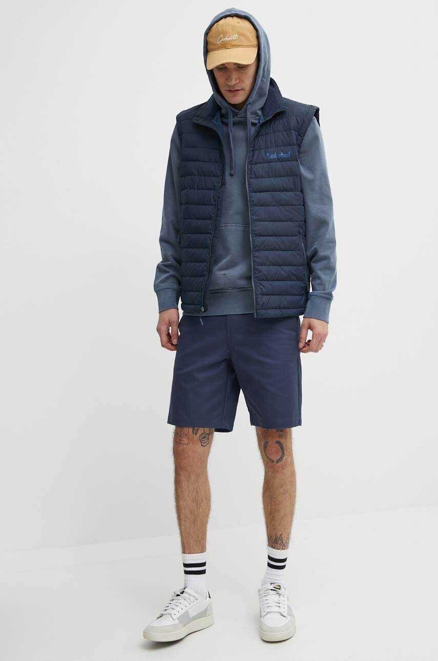 Шорти Dickies чоловічі